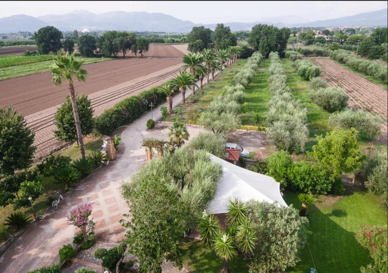 ססה אורונקה Villa Rosa Lifestyle B&B מראה חיצוני תמונה