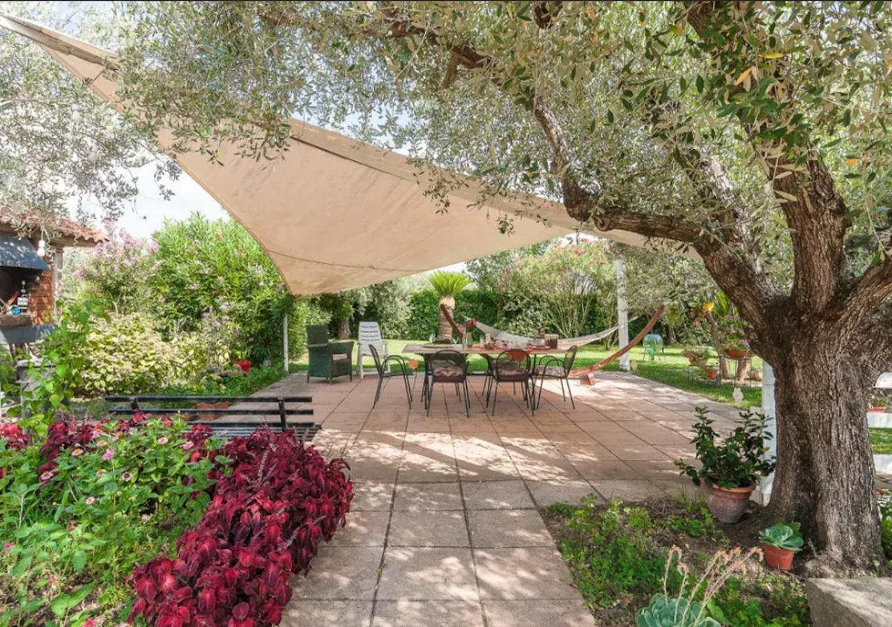 ססה אורונקה Villa Rosa Lifestyle B&B מראה חיצוני תמונה