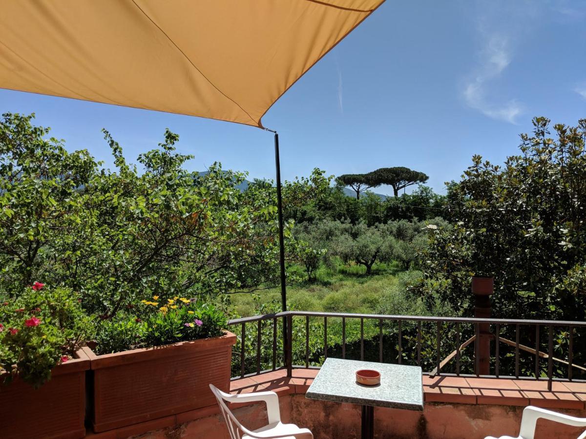 ססה אורונקה Villa Rosa Lifestyle B&B מראה חיצוני תמונה